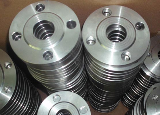 Hastelloy Flange