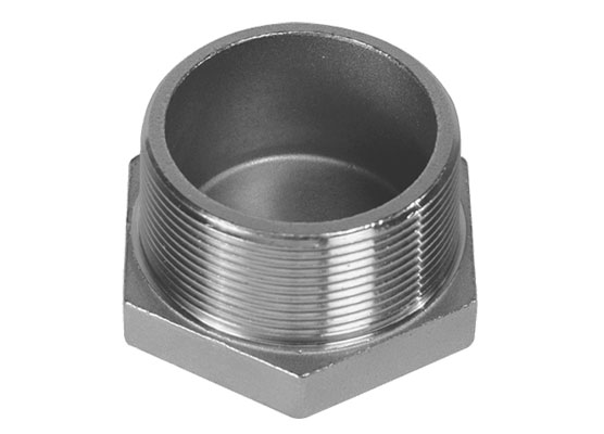 Stainless Steel Hex Head Plug